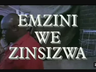 Emzini Wezinsizwa, Wheeling, Dealing, mp3, download, datafilehost, toxicwap, fakaza, Afro House, Afro House 2025, Afro House Mix, Afro House Music, Afro Tech, House Music