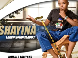 IShayina lakwazondamadixa, Ikhehla lomfana, mp3, download, datafilehost, toxicwap, fakaza, Maskandi Songs, Maskandi, Maskandi Mix, Maskandi Music, Maskandi Classics