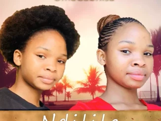 OmaGabhisa, Ndilila, mp3, download, datafilehost, toxicwap, fakaza, Maskandi Songs, Maskandi, Maskandi Mix, Maskandi Music, Maskandi Classics