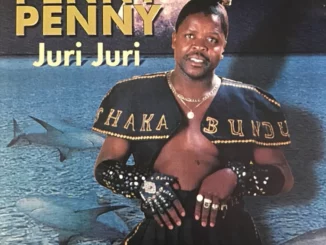 PENNY PENNY, Juri Juri, mp3, download, datafilehost, toxicwap, fakaza, Afro House, Afro House 2025, Afro House Mix, Afro House Music, Afro Tech, House Music