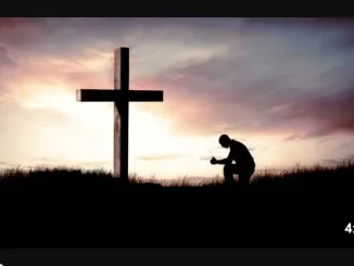 Pela hao, MG Music SA, mp3, download, datafilehost, toxicwap, fakaza, Afro House, Afro House 2025, Afro House Mix, Afro House Music, Afro Tech, House Music