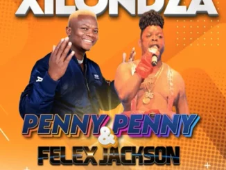 Penny Penny, Xilondza, Felix Jackson, mp3, download, datafilehost, toxicwap, fakaza, Afro House, Afro House 2025, Afro House Mix, Afro House Music, Afro Tech, House Music
