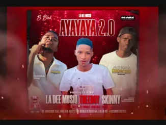 La Dee Musiq, Ayayaya 2.0, Theeboy, Skinny, mp3, download, datafilehost, toxicwap, fakaza,House Music, Amapiano, Amapiano 2025, Amapiano Mix, Amapiano Music