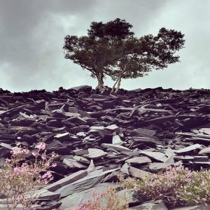 Luka, Jaidene Veda, High on you, Incl. Remixes, download ,zip, zippyshare, fakaza, EP, datafilehost, album, Soulful House Mix, Soulful House, Soulful House Music, House Music