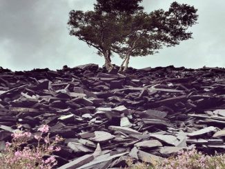 Luka, Jaidene Veda, High on you, Incl. Remixes, download ,zip, zippyshare, fakaza, EP, datafilehost, album, Soulful House Mix, Soulful House, Soulful House Music, House Music