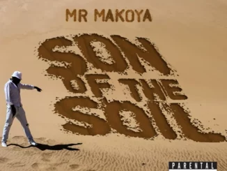 Mr Makoya, Soweto, mp3, download, datafilehost, toxicwap, fakaza, Afro House, Afro House 2025, Afro House Mix, Afro House Music, Afro Tech, House Music