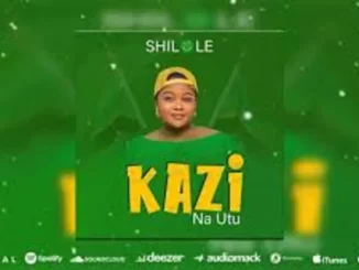 Shilole, Kazi Na Utu, mp3, download, datafilehost, toxicwap, fakaza, Afro House, Afro House 2025, Afro House Mix, Afro House Music, Afro Tech, House Music