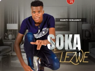 Sokalezwe, UHAMBO LWETHU, mp3, download, datafilehost, toxicwap, fakaza, Maskandi Songs, Maskandi, Maskandi Mix, Maskandi Music, Maskandi Classics