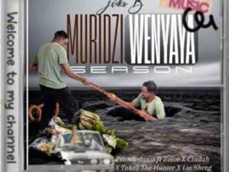 Zviko B, Zvandinodawo, Zoloe, Cladah, Take5 TheHunter, Lia Sheng, mp3, download, datafilehost, toxicwap, fakaza, Afro House, Afro House 2025, Afro House Mix, Afro House Music, Afro Tech, House Music