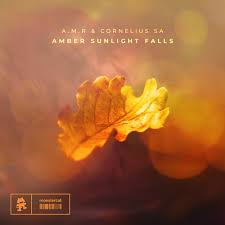A.M.R, Amber Sunlight Falls, Cornelius SA, mp3, download, datafilehost, toxicwap, fakaza, Deep House Mix, Deep House, Deep House Music, Deep Tech, Afro Deep Tech, House Music
