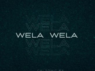 Caltonic SA, Wela Wela, Perspectiv Soul, Nampiiey, BoituM, mp3, download, datafilehost, toxicwap, fakaza,House Music, Amapiano, Amapiano 2025, Amapiano Mix, Amapiano Music