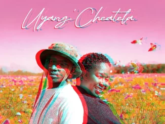 CaswellSA, Uyang Cheatela, Mathilda, Tonicba, Biggydunlt, Pro Error Ntozini, mp3, download, datafilehost, toxicwap, fakaza,House Music, Amapiano, Amapiano 2025, Amapiano Mix, Amapiano Music