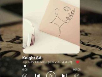 Knight SA, DSS VOL.114 Mix B, Trip To PV Lifestyle II, mp3, download, datafilehost, toxicwap, fakaza,House Music, Amapiano, Amapiano 2025, Amapiano Mix, Amapiano Music