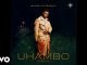 Mlindo The Vocalist, Inkomo Zika Baba, Madumane, CowBoii, Dj Maphorisa, mp3, download, datafilehost, toxicwap, fakaza,House Music, Amapiano, Amapiano 2025, Amapiano Mix, Amapiano Music