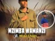 Mzimba Wamanzi, Uyafihla Mhlabathi, Noluhle, Mkhululi, mp3, download, datafilehost, toxicwap, fakaza, Maskandi Songs, Maskandi, Maskandi Mix, Maskandi Music, Maskandi Classics