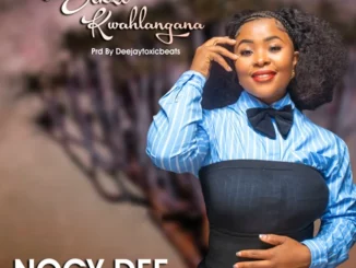 NOCY DEE, Sek’zekwahlangana, mp3, download, datafilehost, toxicwap, fakaza, Afro House, Afro House 2025, Afro House Mix, Afro House Music, Afro Tech, House Music