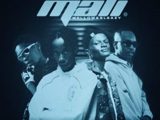 mp3, download, datafilehost, toxicwap, fakaza,House Music, Amapiano, Amapiano 2025, Amapiano Mix, Amapiano Music