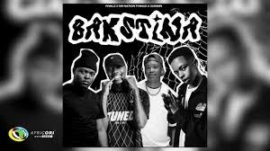 RIVALZ, Bak’stina, Mr Nation Thingz, Gubziin, mp3, download, datafilehost, toxicwap, fakaza, Afro House, Afro House 2025, Afro House Mix, Afro House Music, Afro Tech, House Music