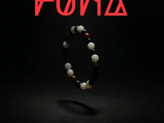 Swizxle, Funa 3 step, mp3, download, datafilehost, toxicwap, fakaza, Afro House, Afro House 2025, Afro House Mix, Afro House Music, Afro Tech, House Music