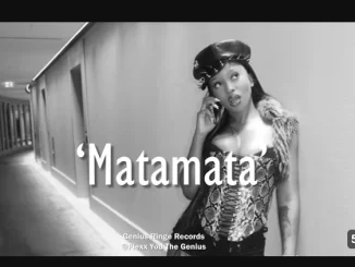 Tyler ICU, Matamata, Kelvin Momo, Kabza De Small, mp3, download, datafilehost, toxicwap, fakaza,House Music, Amapiano, Amapiano 2025, Amapiano Mix, Amapiano Music