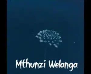 Why01.1, Mthunzi Welanga, uMalume Soul's, mp3, download, datafilehost, toxicwap, fakaza,House Music, Amapiano, Amapiano 2025, Amapiano Mix, Amapiano Music