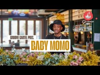 Baby Momo, Groove Cartel Mix, mp3, download, datafilehost, toxicwap, fakaza,House Music, Amapiano, Amapiano 2025, Amapiano Mix, Amapiano Music