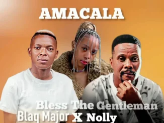 Bless The Gentleman, AMACALA, Blaq Major, Nolly, mp3, download, datafilehost, toxicwap, fakaza,House Music, Amapiano, Amapiano 2025, Amapiano Mix, Amapiano Music