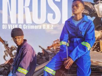 DJ Veek, Nkosi, Criimora, B.K.Z, mp3, download, datafilehost, toxicwap, fakaza,House Music, Amapiano, Amapiano 2025, Amapiano Mix, Amapiano Music