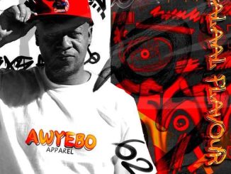 Fiso El Musica, Halaal Flavour #062 Mix, mp3, download, datafilehost, toxicwap, fakaza,House Music, Amapiano, Amapiano 2025, Amapiano Mix, Amapiano Music