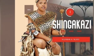 Ishingakazi, Ngiyabheja Ngami, download ,zip, zippyshare, fakaza, EP, datafilehost, album, Maskandi Songs, Maskandi, Maskandi Mix, Maskandi Music, Maskandi Classics