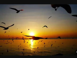 MG Music SA, Ke bua Sesotho, thobela, mp3, download, datafilehost, toxicwap, fakaza,House Music, Amapiano, Amapiano 2025, Amapiano Mix, Amapiano Music