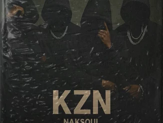 NAKSoul, KZN, Ntwana Mosotho Kvy, DJ Seeyah SA, mp3, download, datafilehost, toxicwap, fakaza,House Music, Amapiano, Amapiano 2025, Amapiano Mix, Amapiano Music