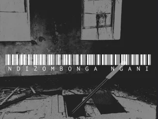 OPHOLA NTSHUNTSHA, Ndizombonga Ngani, mp3, download, datafilehost, toxicwap, fakaza, Afro House, Afro House 2025, Afro House Mix, Afro House Music, Afro Tech, House Music