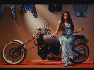 Shashl, Perfect Somebody, mp3, download, datafilehost, toxicwap, fakaza, Afro House, Afro House 2025, Afro House Mix, Afro House Music, Afro Tech, House Music