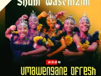 Shuni WaseMzini, Umawengane Ofresh, mp3, download, datafilehost, toxicwap, fakaza, Maskandi Songs, Maskandi, Maskandi Mix, Maskandi Music, Maskandi Classics