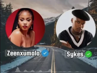 Skills, Ngifuna wena, Zee Nxumalo, Sykes, mp3, download, datafilehost, toxicwap, fakaza,House Music, Amapiano, Amapiano 2025, Amapiano Mix, Amapiano Music