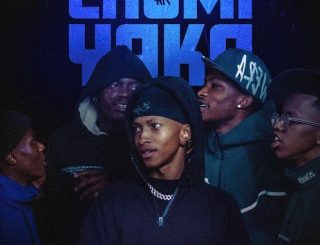 TKcreedlion, Chomi Yaka, Smoove, Royal Musiq, W4DE, Djy Biza, Shoes Meister, mp3, download, datafilehost, toxicwap, fakaza,House Music, Amapiano, Amapiano 2025, Amapiano Mix, Amapiano Music