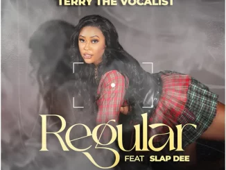 Terry The Vocalist, Regular, Slapdee, mp3, download, datafilehost, toxicwap, fakaza,House Music, Amapiano, Amapiano 2025, Amapiano Mix, Amapiano Music