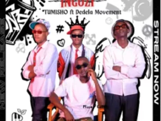 Tumisho, Ingozi, Dedela Movement,mp3, download, datafilehost, toxicwap, fakaza, Afro House, Afro House 2025, Afro House Mix, Afro House Music, Afro Tech, House Music