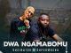 Vusinator, Dwa Ngamabomu, Super Mosha, mp3, download, datafilehost, toxicwap, fakaza,House Music, Amapiano, Amapiano 2025, Amapiano Mix, Amapiano Music