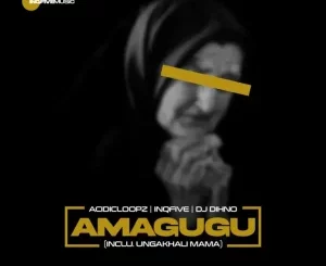 Acidicloopz, InQfive, DJ DIHNO, Amagugu, Salga, download ,zip, zippyshare, fakaza, EP, datafilehost, album, Afro House, Afro House 2025, Afro House Mix, Afro House Music, Afro Tech, House Music