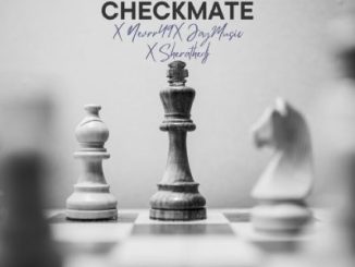 Citykingrsa, Checkmate, Nevrr49, Jay Music, Shera the DJ, mp3, download, datafilehost, toxicwap, fakaza, Afro House, Afro House 2025, Afro House Mix, Afro House Music, Afro Tech, House Music