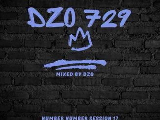Dzo 729, Number Number Session 17, mp3, download, datafilehost, toxicwap, fakaza,House Music, Amapiano, Amapiano 2025, Amapiano Mix, Amapiano Music