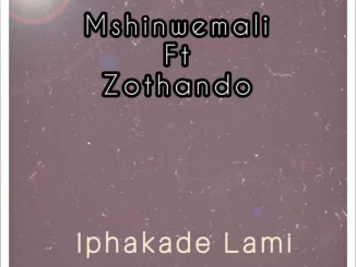 Mshinwemali, Iphakade Lami, download ,zip, zippyshare, fakaza, EP, datafilehost, album, Maskandi Songs, Maskandi, Maskandi Mix, Maskandi Music, Maskandi Classics