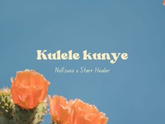 Noll’zuss, Kulele Kunye, Starr Healer, mp3, download, datafilehost, toxicwap, fakaza,House Music, Amapiano, Amapiano 2025, Amapiano Mix, Amapiano Music