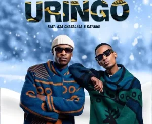 Soultaker Mthathi, uRingo, MOREKI, Kay-9ine, Asa Chabalala, mp3, download, datafilehost, toxicwap, fakaza,House Music, Amapiano, Amapiano 2025, Amapiano Mix, Amapiano Music