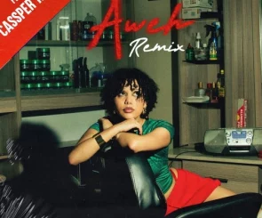 lordkez, Aweh, Remix, Cassper Nyovest, mp3, download, datafilehost, toxicwap, fakaza, Hiphop, Hip hop music, Hip Hop Songs, Hip Hop Mix, Hip Hop, Rap, Rap Music