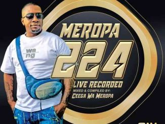 Ceega, Meropa 224, The Journey Continues, mp3, download, datafilehost, toxicwap, fakaza,House Music, Amapiano, Amapiano 2025, Amapiano Mix, Amapiano Music