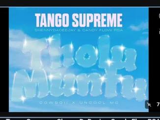 Tango Supreme, Tholu Muntu, ShennyDaDeejay, Candy Flow RSA Cowboii, Uncool MC, mp3, download, datafilehost, toxicwap, fakaza,House Music, Amapiano, Amapiano 2025, Amapiano Mix, Amapiano Music
