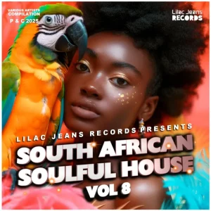 VA, South African Soulful House Vol. 8, download ,zip, zippyshare, fakaza, EP, datafilehost, album, Soulful House Mix, Soulful House, Soulful House Music, House Music